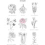 Say It With Flowers Print, thumbnail 3 of 5