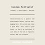 Funny Golden Retriever Silhouette Dog Card, thumbnail 2 of 6