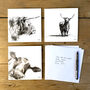 Cow Greeting Cards, Six Pack, thumbnail 1 of 2