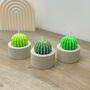 Round Barrel Cactus Candles Saguaro Cacti Candle Gift, thumbnail 1 of 10