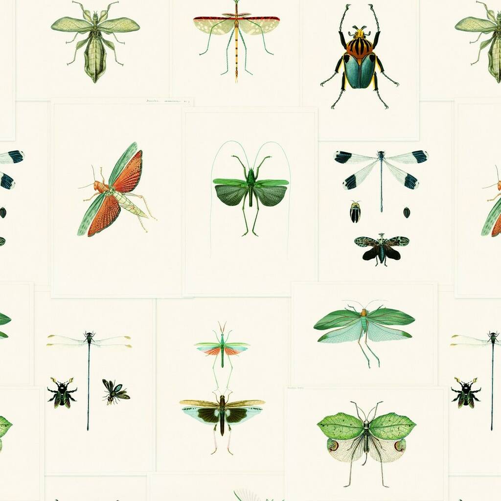 Entomology Wallpaper | Green wallpaper, Mind the gap, Home decor