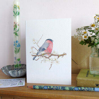 Bullfinch And Blossom Greetings Card, 7 of 10
