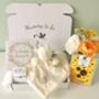 Mum To Be Highland Cow Baby Gift Box, thumbnail 1 of 9