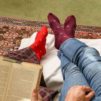 Men's Socks Bundle Umbrella, 4 of 10