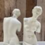 Pair Of Venus White Bookends Heavy Book Holders Gift, thumbnail 8 of 9