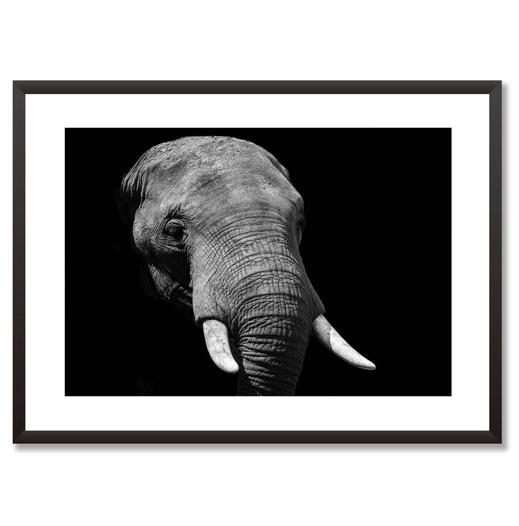 Elephant Art Print Black And White Animal Art By Abstract House ...