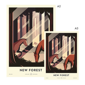 New Forest National Park Print, 3 of 11
