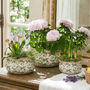 Irina Green Botanical Set Of Three Flower Planters, thumbnail 1 of 3