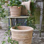 Terracotta Plant Pot In Three Sizes, thumbnail 1 of 3