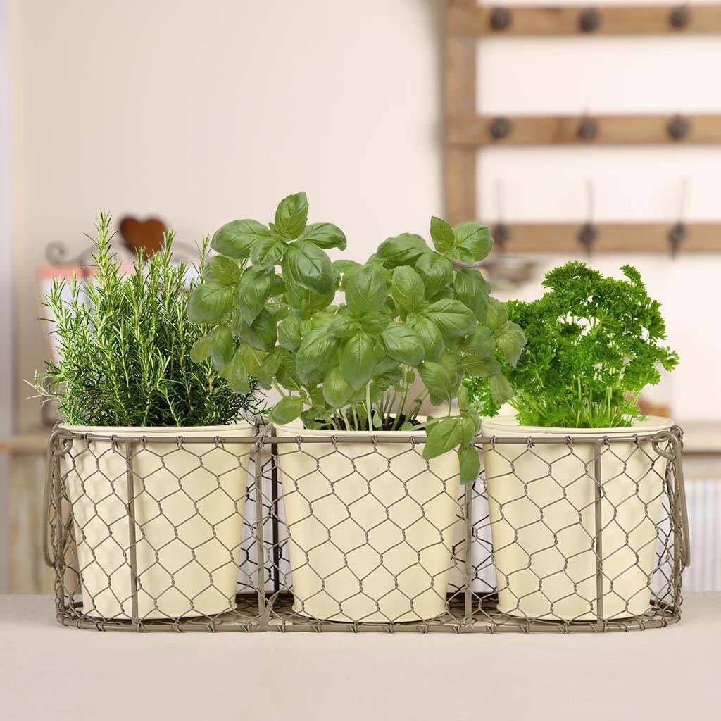 Set Of Three Herb Pots And Basket, 1 of 8