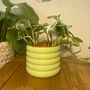 3D Printed Bubble Plant Pot – Gardening Gifts, thumbnail 2 of 9