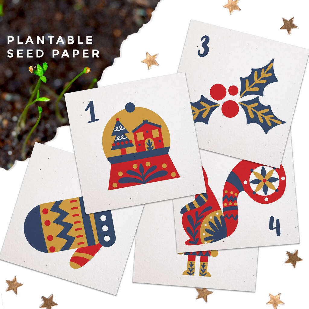 Seed Paper Plantable Advent Calendar Scandi By Little Green Paper Shop