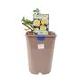 Happy Birthday Cream Rose In5.5 L Pot – Floribunda, thumbnail 7 of 7