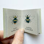 Tiny Book Of Bees Handmade Mini Nature Book, thumbnail 3 of 6
