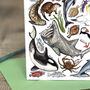 Marine Wildlife Of Britain Greeting Card, thumbnail 4 of 8