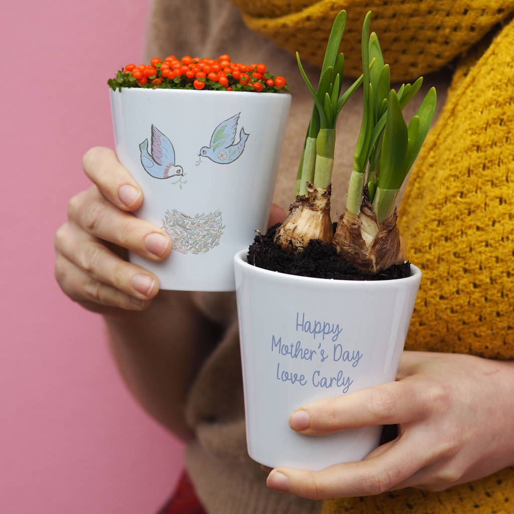'Bird Nest' Personalised Plant Pot Mother's Day Gift By So Close