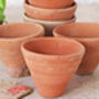 Set Of Three Micro Terracotta Plant Pots, thumbnail 2 of 3