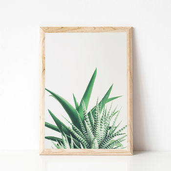 overlap photographic plant print by cassia beck art and photography ...