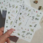 Eucalyptus And Gypsophila Thank You Cards, thumbnail 8 of 8