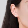 Schnauzer Dog Stud Earrings In Sterling Silver, thumbnail 4 of 12