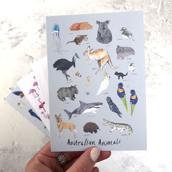 Animal Post Card Set Of Fifteen, 10 of 10