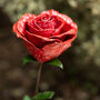 Open Red Rose Recycled Metal Garden Sculpture, thumbnail 1 of 4