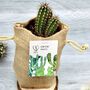 Cactus Jute Bag Grow Set, thumbnail 6 of 9