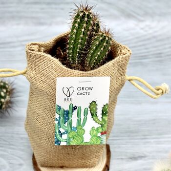 Cactus Jute Bag Grow Set, 6 of 9