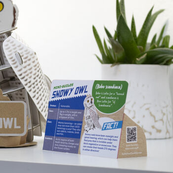 Build Your Own Personalised Snowy Owl, 7 of 10