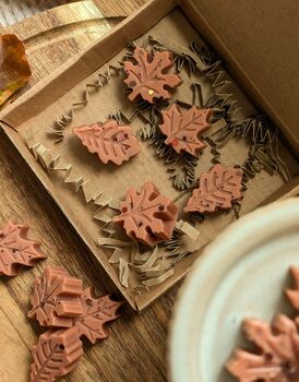 Twilight Woods Autumnal Wax Melts With Woody Scent, 6 of 7