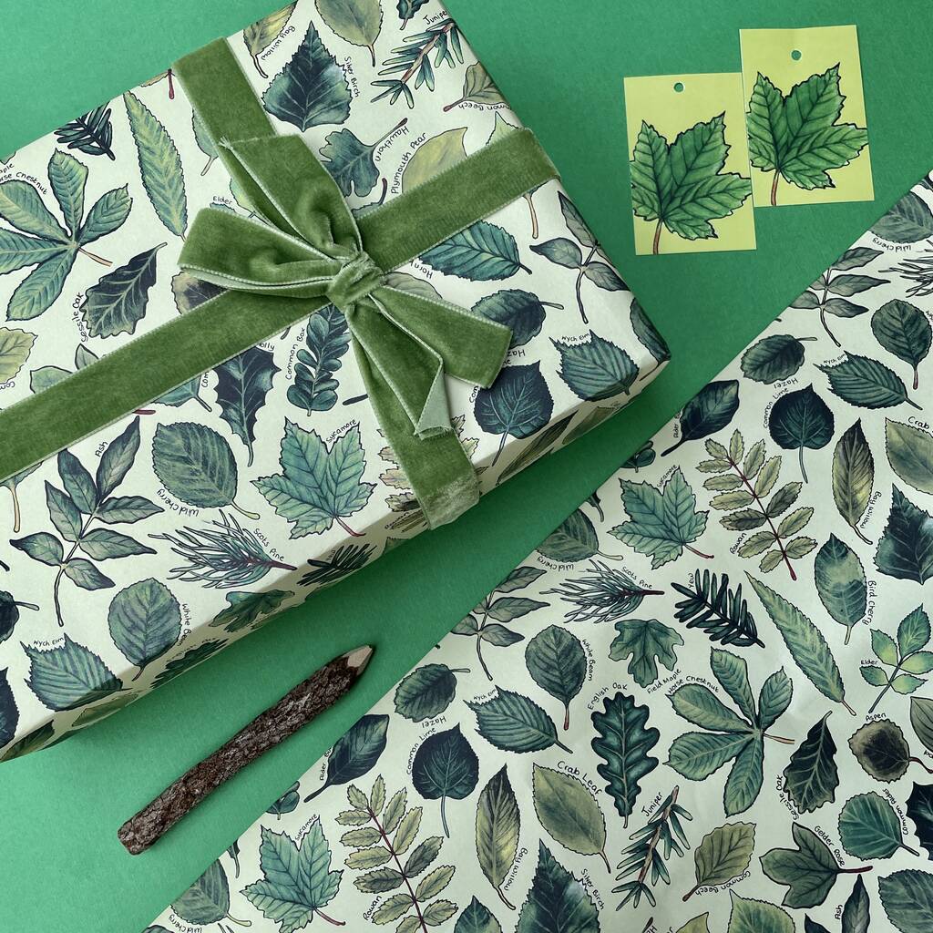 Bees Of Britain Wrapping Paper Set By Alexia Claire