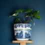 Single Bamboo Plant Shelf, thumbnail 2 of 5