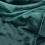 Personalised Green Pet Blanket, thumbnail 3 of 4