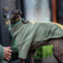 Italian Greyhound Polartec Water Resistant Dog Coat, thumbnail 3 of 4