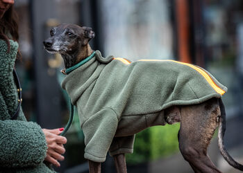 Italian Greyhound Polartec Water Resistant Dog Coat, 3 of 4