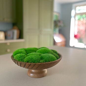 Large Moss Bowl, 3 of 5