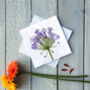 Agapanthus Greeting Card, thumbnail 2 of 2