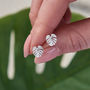Monstera Palm Leaf Solid Silver Stud Earrings, thumbnail 1 of 4