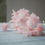 Flower Fairy Lights, thumbnail 1 of 12