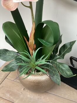 Large Pink Phalenopsis Orchid In Gold Bowl, 3 of 7