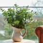 The Foliage And Herb Arranging Craft Box, thumbnail 2 of 3