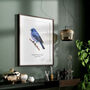 Indigo Bunting Bird Wall Print, thumbnail 2 of 6