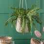 Hanging Plant Pot, thumbnail 1 of 2
