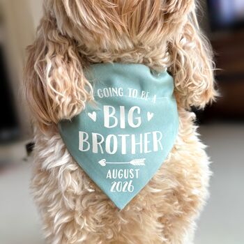 Big Brother Pregnancy Announcement Dog Bandana, 2 of 7
