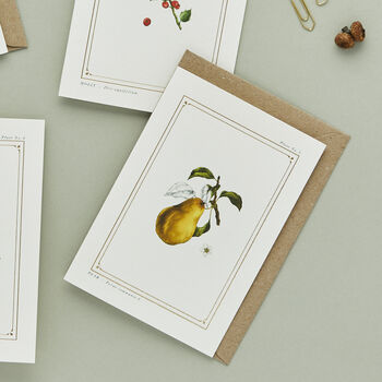 Botanist Archive Pear Christmas Card, 2 of 4