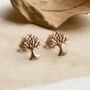 Sterling Silver Or Gold Plated Tree Stud Earrings, thumbnail 8 of 12