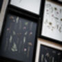 A3 Pressed Flower Art Botanical Wall Art In Black Frame, thumbnail 7 of 7