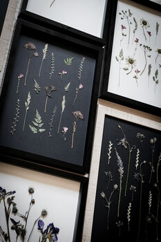 A3 Pressed Flower Art Botanical Wall Art In Black Frame, 7 of 7