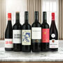 Red Wine Discovery Case – A Mixed Selection Of Six International Reds, thumbnail 1 of 8