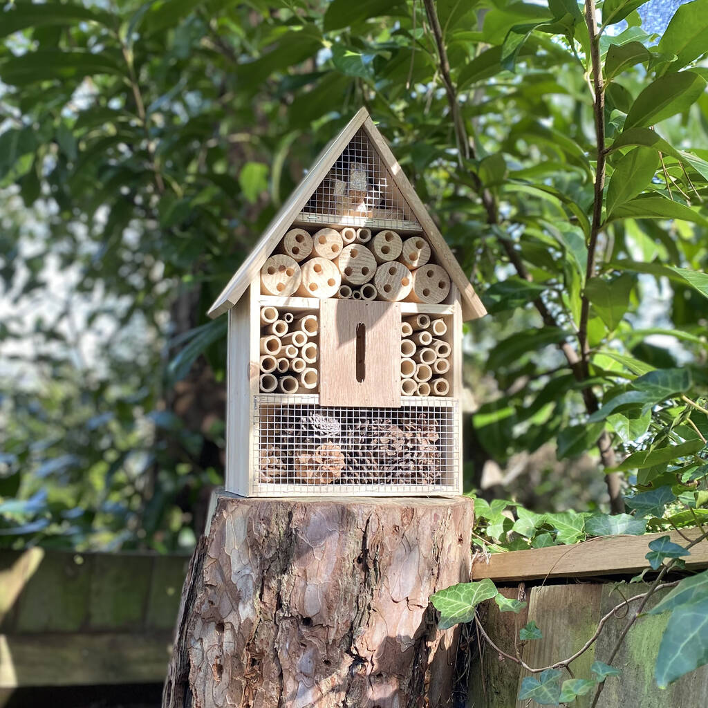 Jenngaoo Wooden Bee House 7.5 x 11.8 x 4.3 inch Butterflies Beneficial Insect Habitats Natural Wooden Garden Insect Hotel Handmades Insect House Shelter 